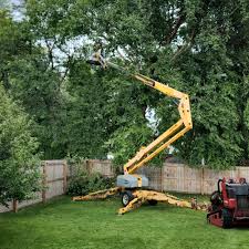 Lawn Grading and Leveling in First Mesa, AZ